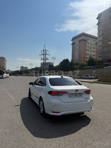 Toyota Corolla-4