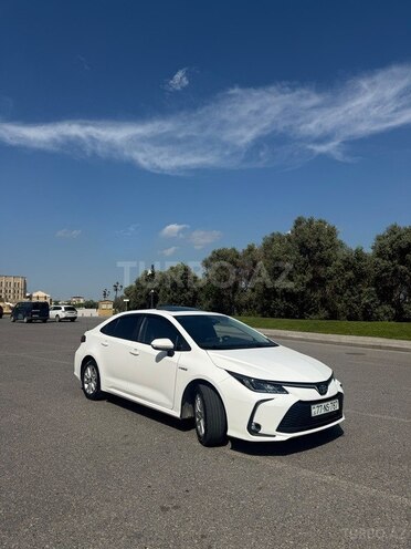 Toyota Corolla-3