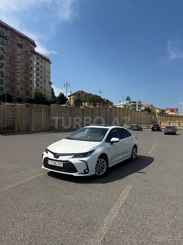 Toyota Corolla-6