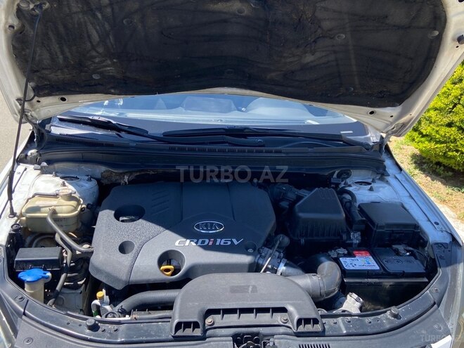Hyundai i30-19