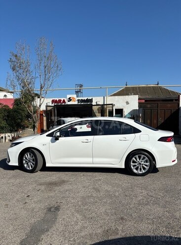 Toyota Corolla-4