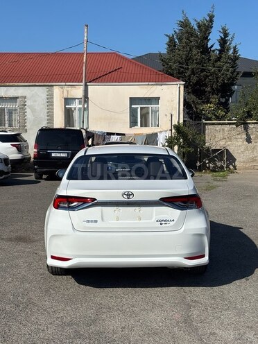 Toyota Corolla-2