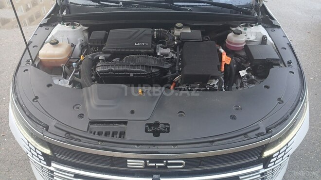 BYD Destroyer 05-5