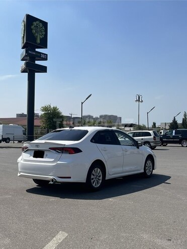 Toyota Corolla-6