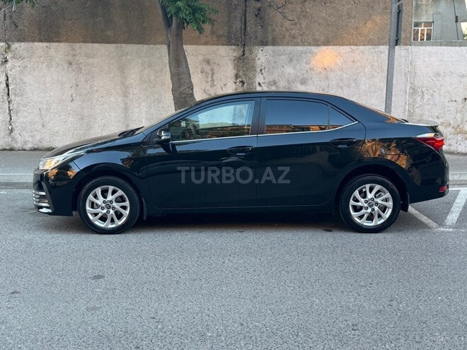 Toyota Corolla-6