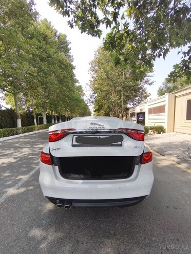 Jaguar XF-3