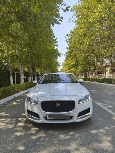 Jaguar XF-1