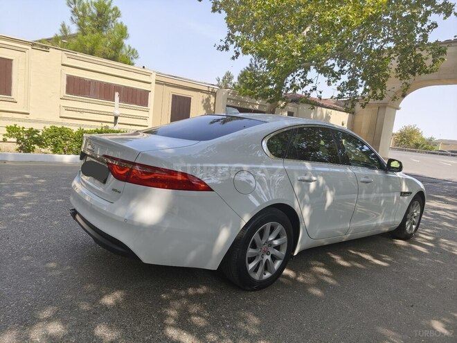 Jaguar XF-4