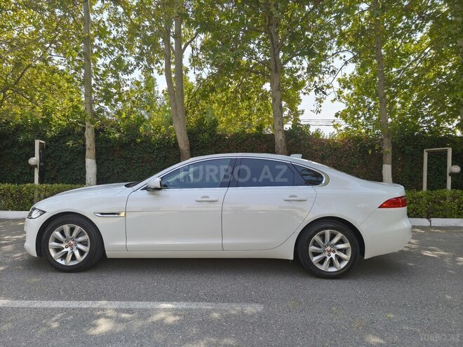 Jaguar XF-11