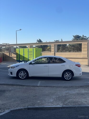 Toyota Corolla-6
