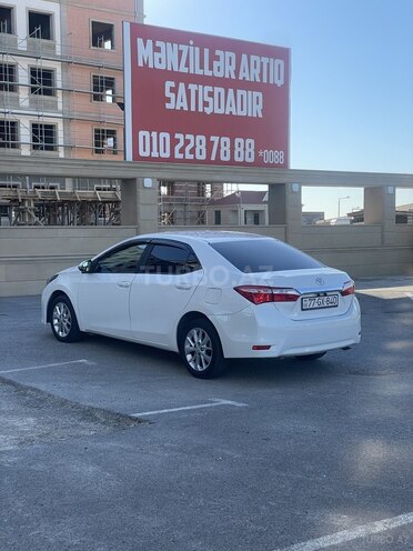 Toyota Corolla-7