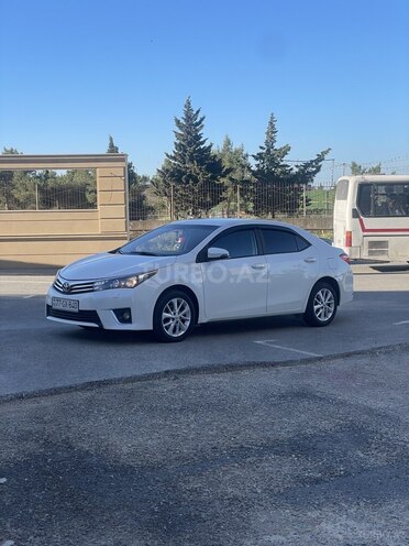 Toyota Corolla-4