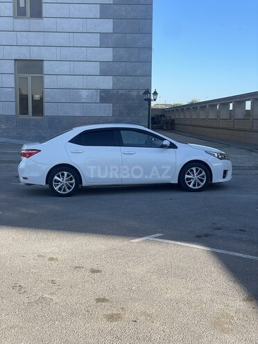 Toyota Corolla-5