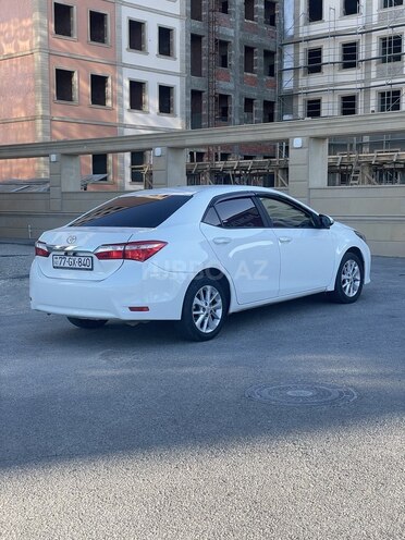 Toyota Corolla-8