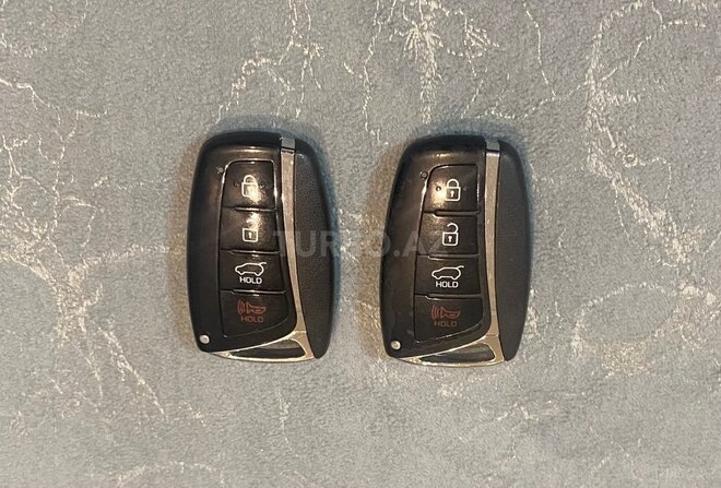 Hyundai Santa Fe-19
