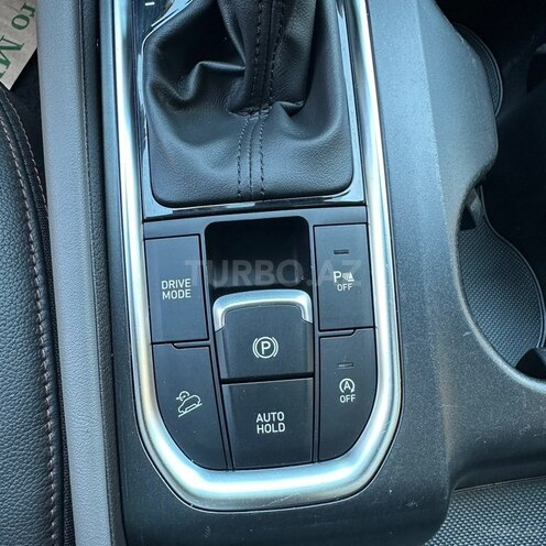 Hyundai Santa Fe-19