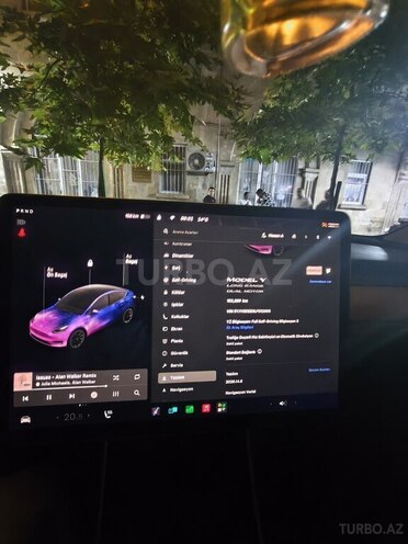 Tesla Model Y-10