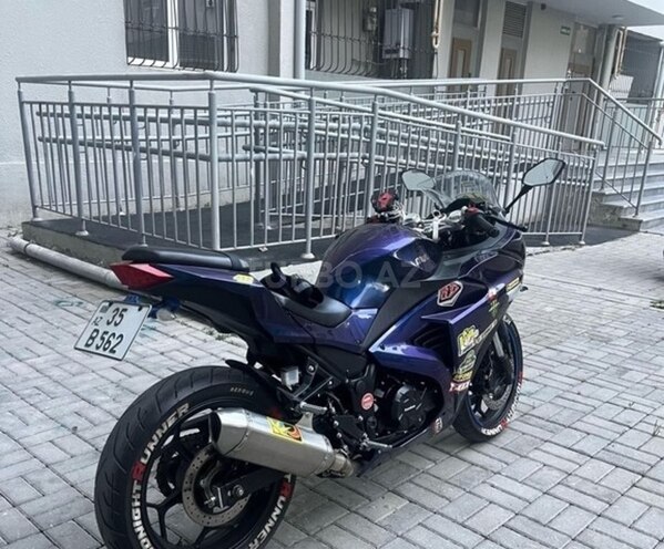 Kawasaki Ninja 300-3