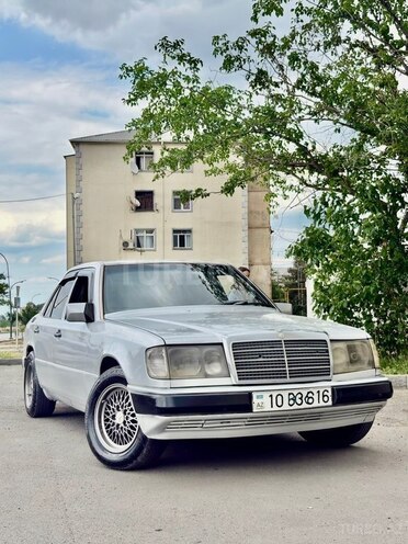 Mercedes 250 D-8