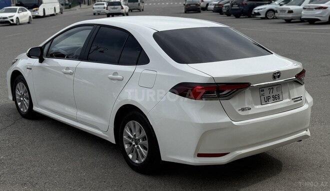 Toyota Corolla-7