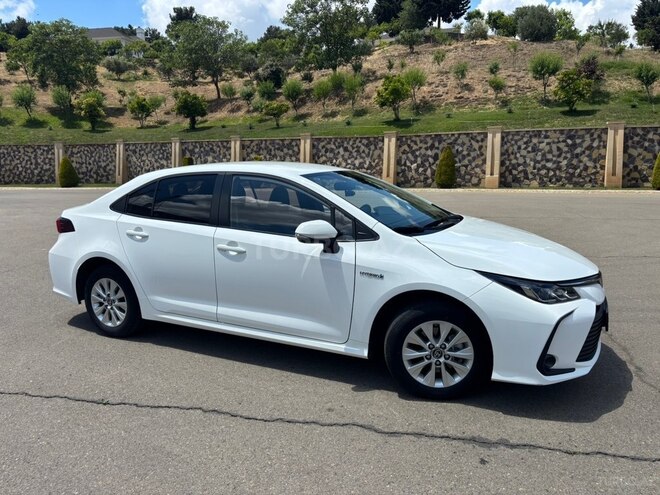 Toyota Corolla-7