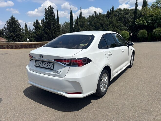 Toyota Corolla-3
