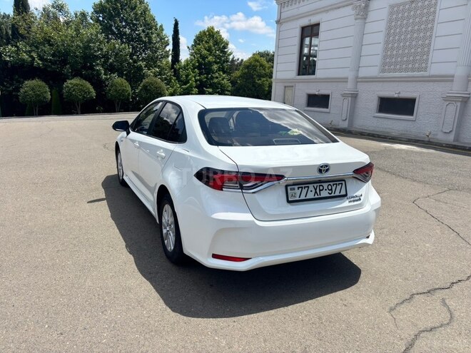 Toyota Corolla-4