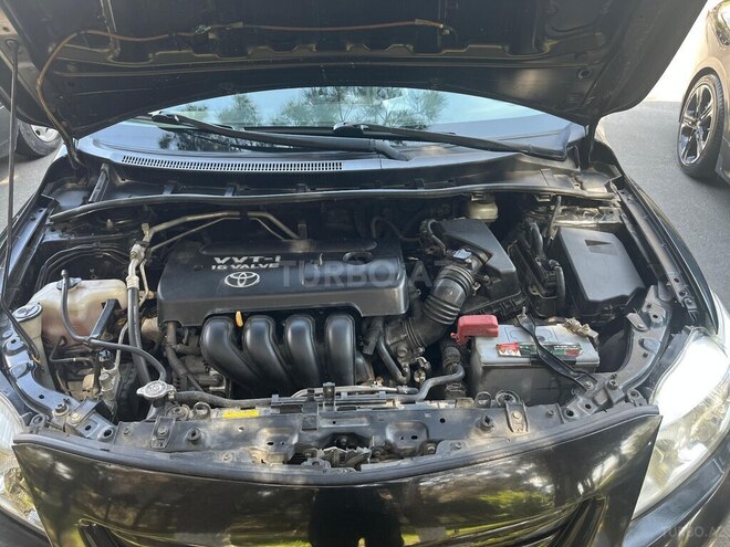 Toyota Corolla-8