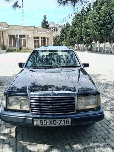 Mercedes 250 D-1