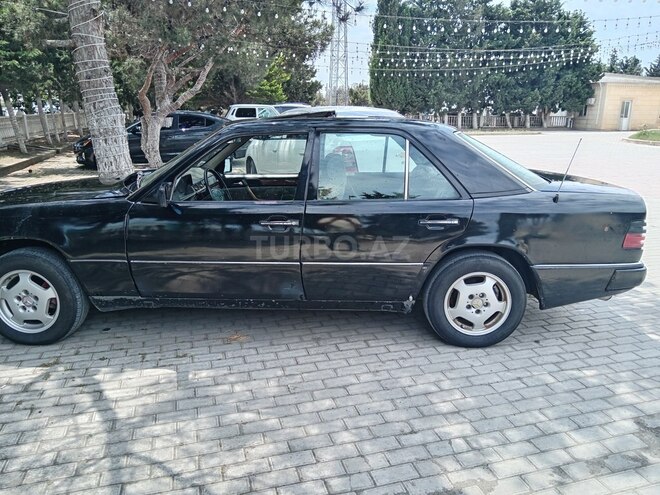 Mercedes 250 D-9