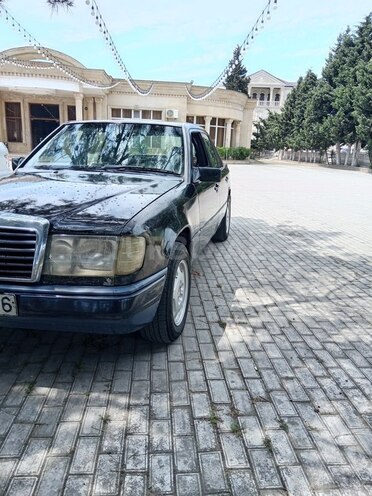Mercedes 250 D-11