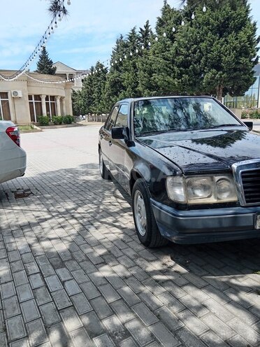 Mercedes 250 D-10