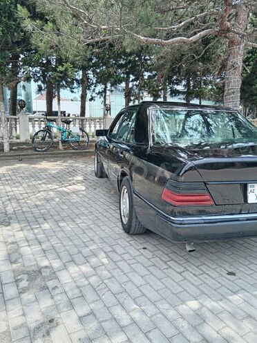 Mercedes 250 D-8