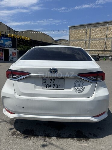 Toyota Corolla-4