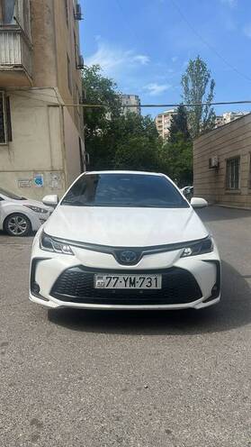 Toyota Corolla-1