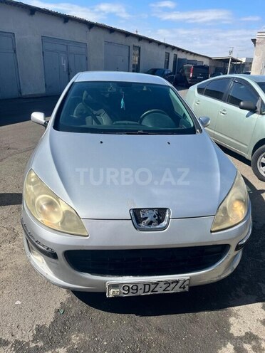 Peugeot 407-1