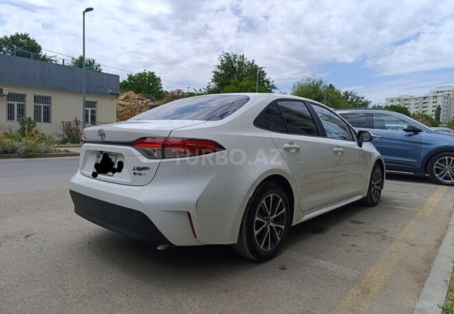 Toyota Corolla-4