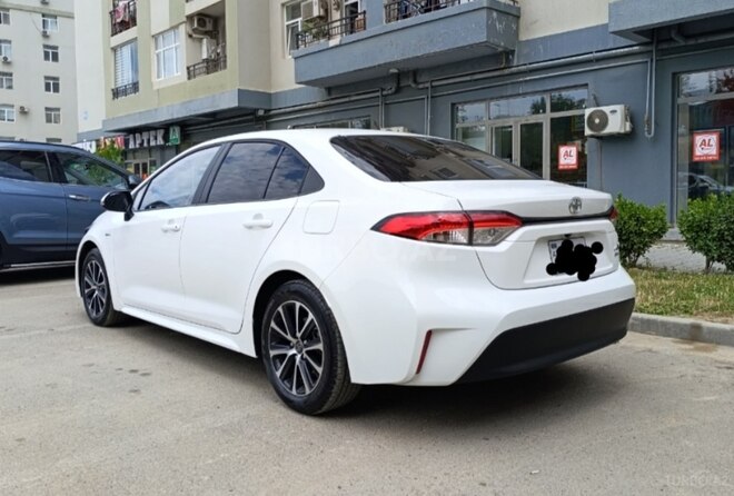 Toyota Corolla-6