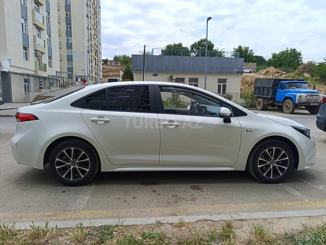 Toyota Corolla-13