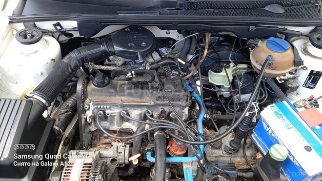 Volkswagen Golf-8