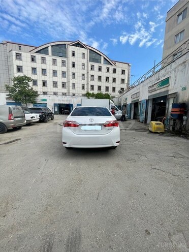 Toyota Corolla-3