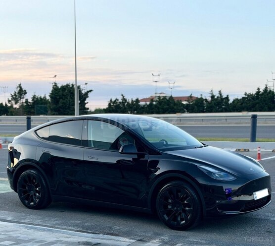 Tesla Model Y-10
