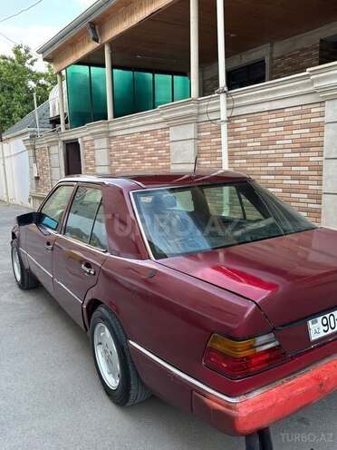 Mercedes 250 D-8