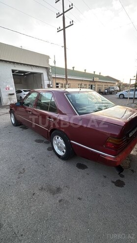 Mercedes 250 D-6