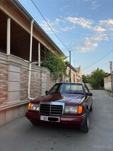 Mercedes 250 D-3