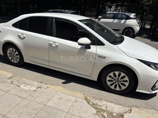 Toyota Corolla-2