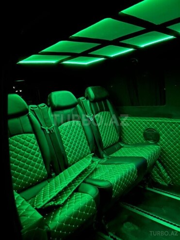 Mercedes Viano-9