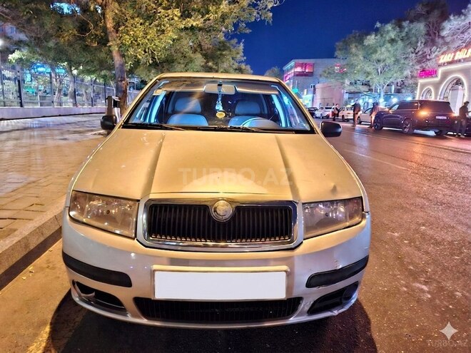 Skoda Fabia-1