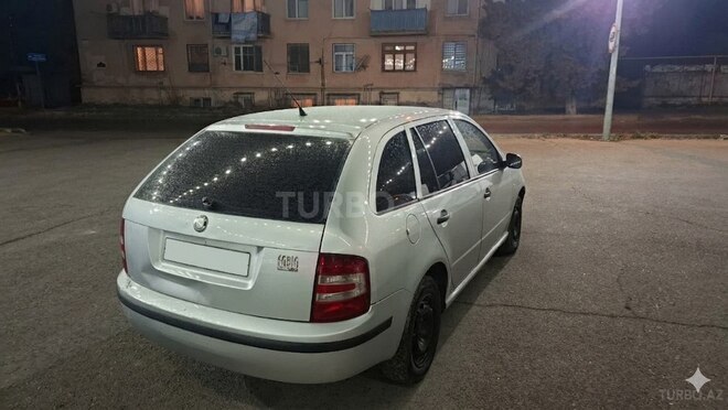 Skoda Fabia-6