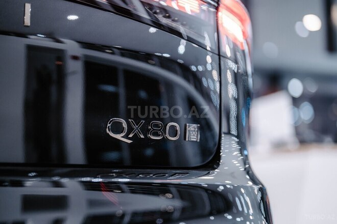 Infiniti QX80-13